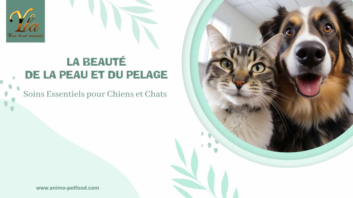 soin-de-la-peau-des-animaux-de-compagnie